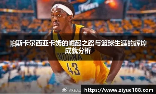 三亿体育登录入口