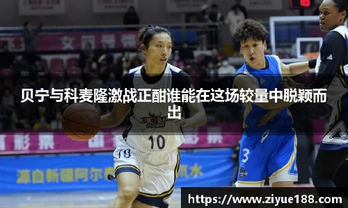三亿体育官网入口